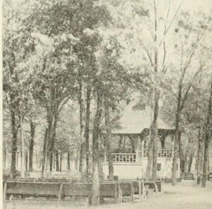A View of the City Park