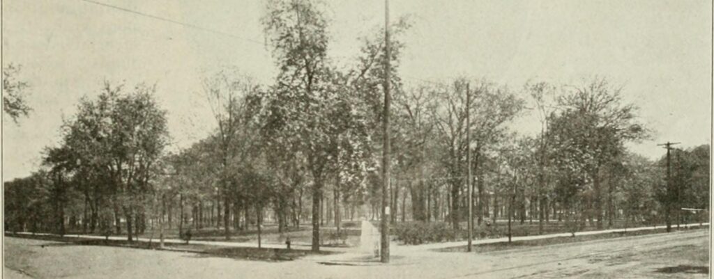 City Park