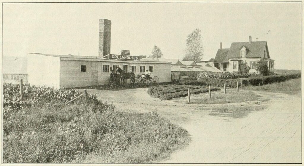 Hill Floral Co. Plant